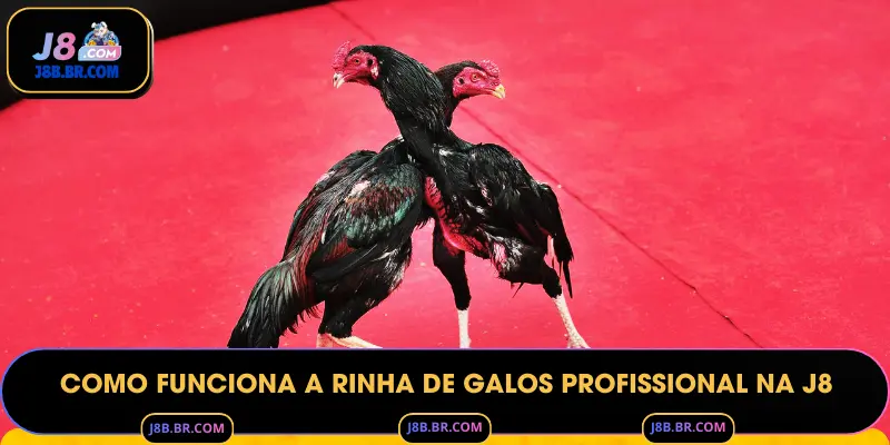 Como Funciona a Rinha de Galos Profissional na J8