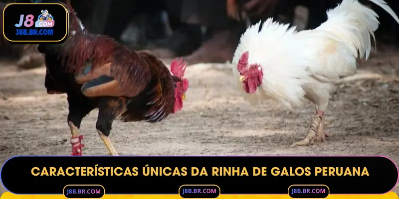 Características Únicas da Rinha de Galos Peruana