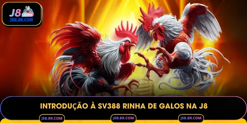Introdução à SV388 Rinha de Galos na J8
